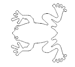 Frosch4