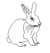 Hase 468