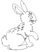 hase1