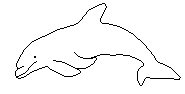 delphin
