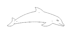 delphin2